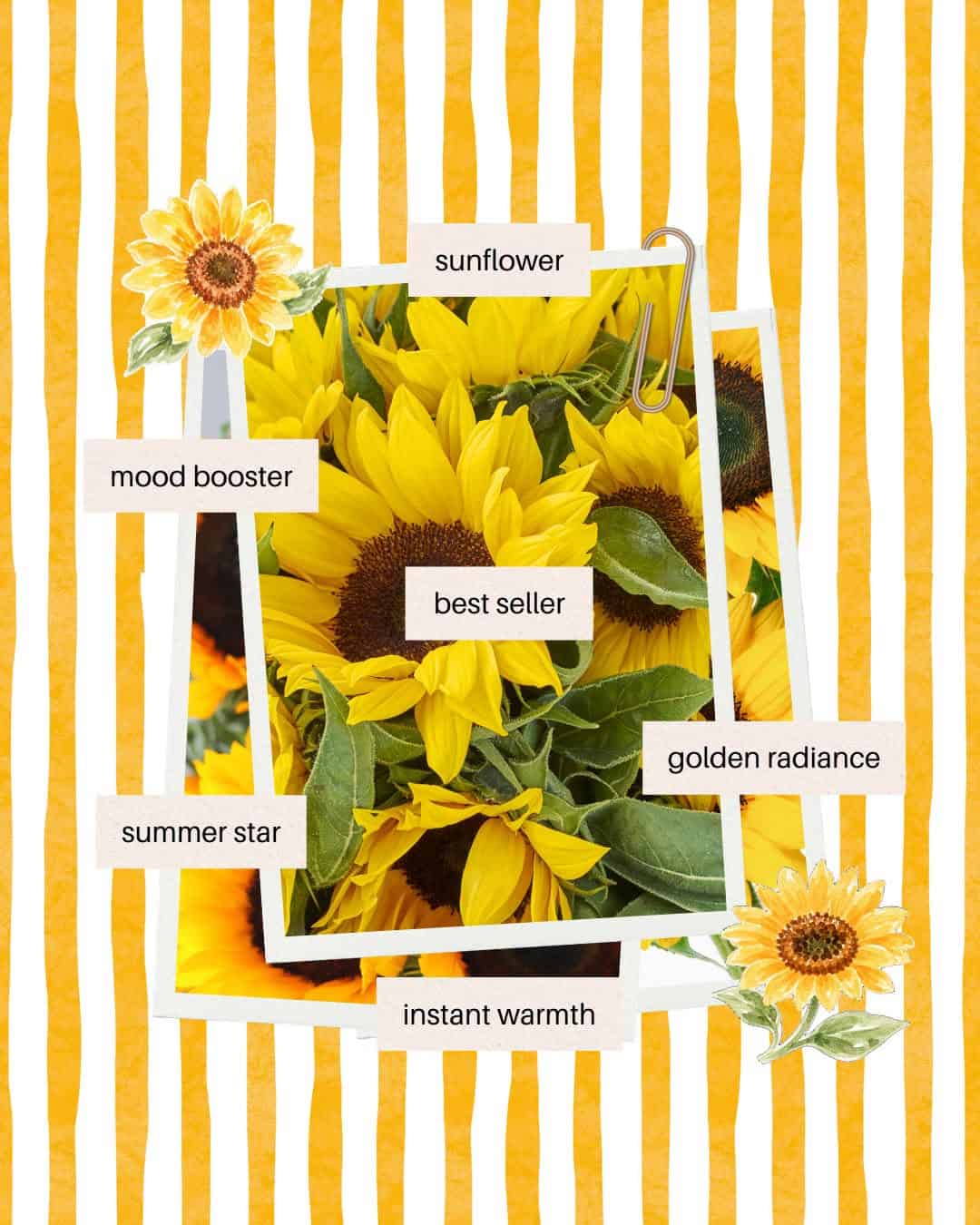 Expressions Unlimited - Greenville, a florist located in Greenville