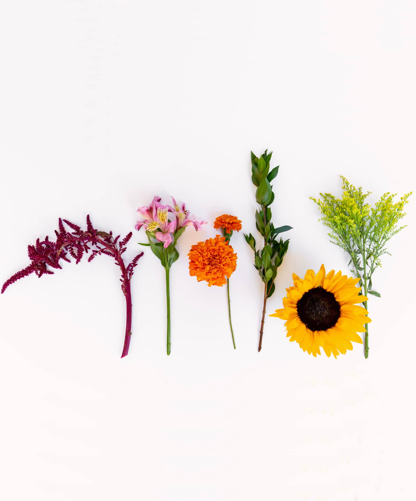 Colorful arrangement of various flowers including sunflowers and vibrant blooms on a light backdrop.